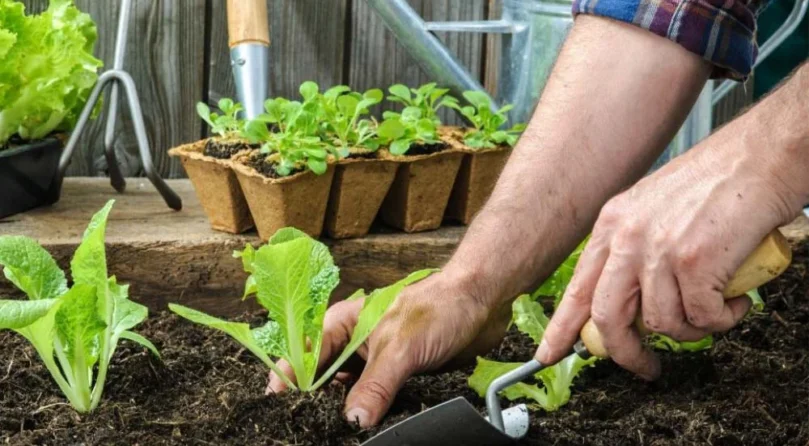 port-img-2 port-img-2