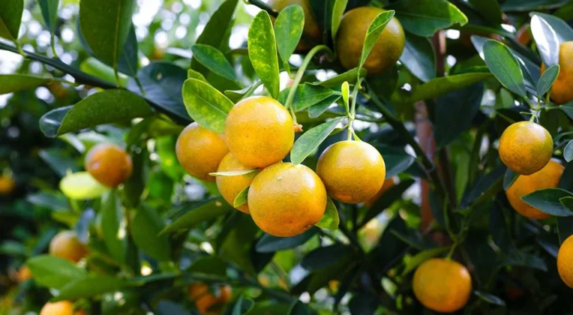 port-img-5 port-img-5